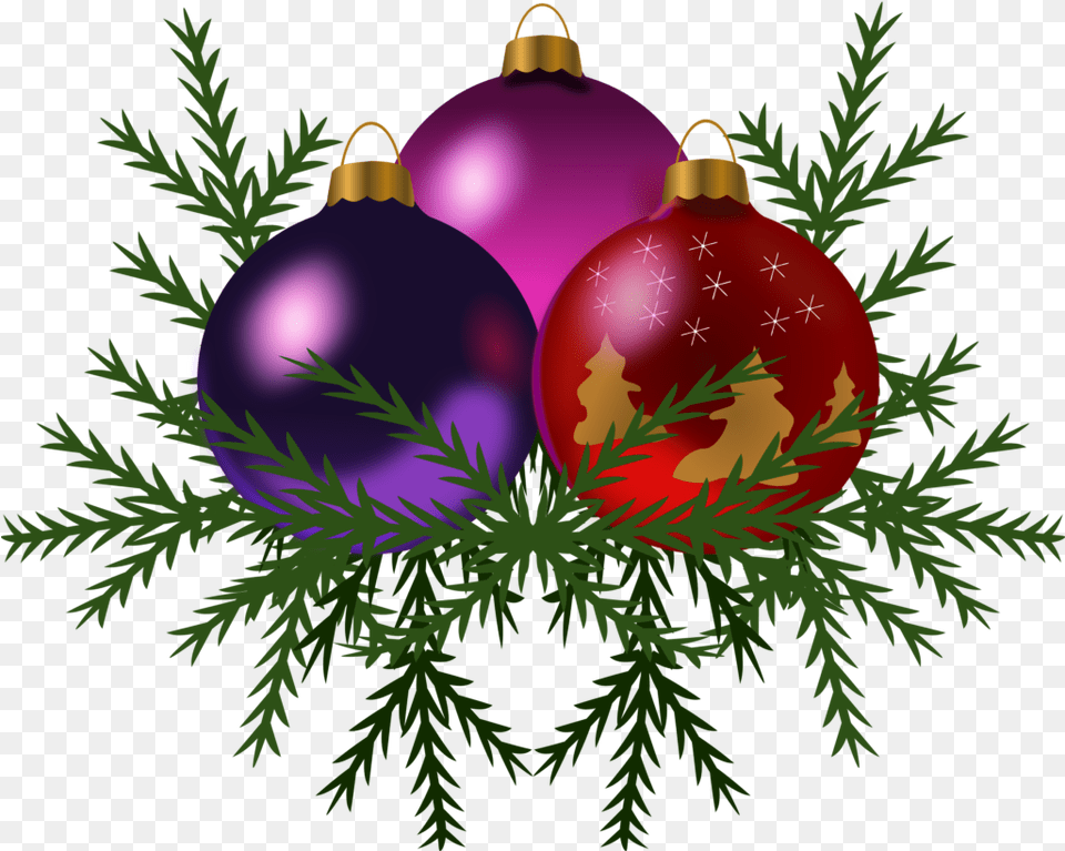 Merry Christmas U0026 Happy New Year From All The Staff Christmas Decoration Bg, Conifer, Plant, Tree, Accessories Free Transparent Png