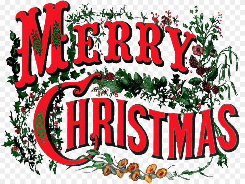 Merry Christmas Vintage Text Say Merry Christmas, Art, Graphics, Plant, Vegetation Png