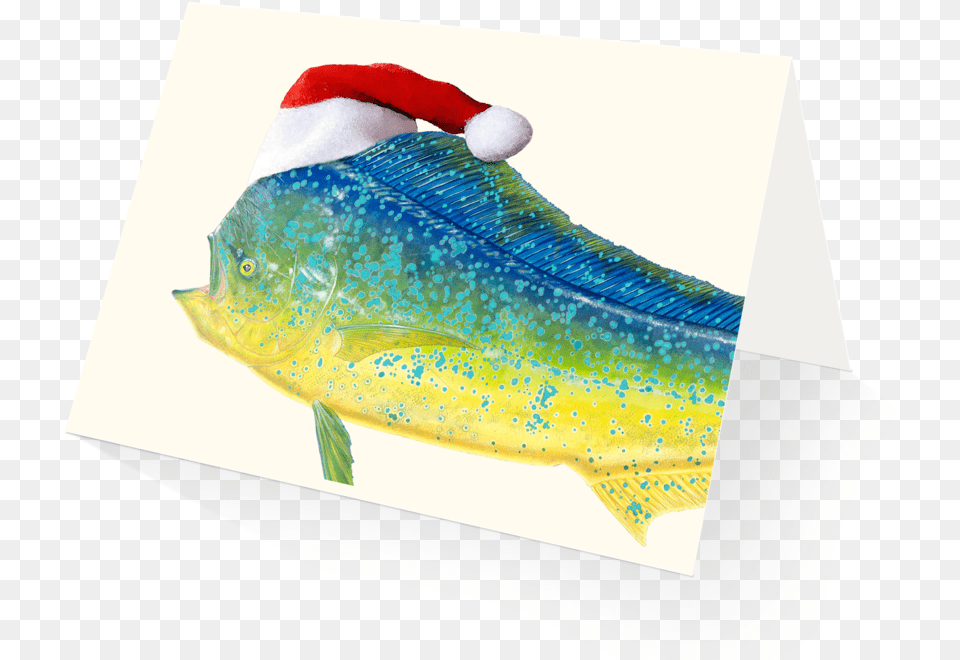 Merry Mahi Mahi Holiday Card, Animal, Fish, Sea Life Png Image
