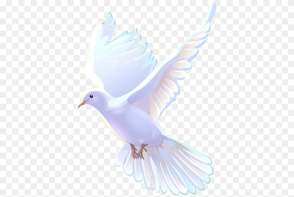 Meshach Taylor Heathers, Animal, Bird, Dove, Pigeon Free Transparent Png