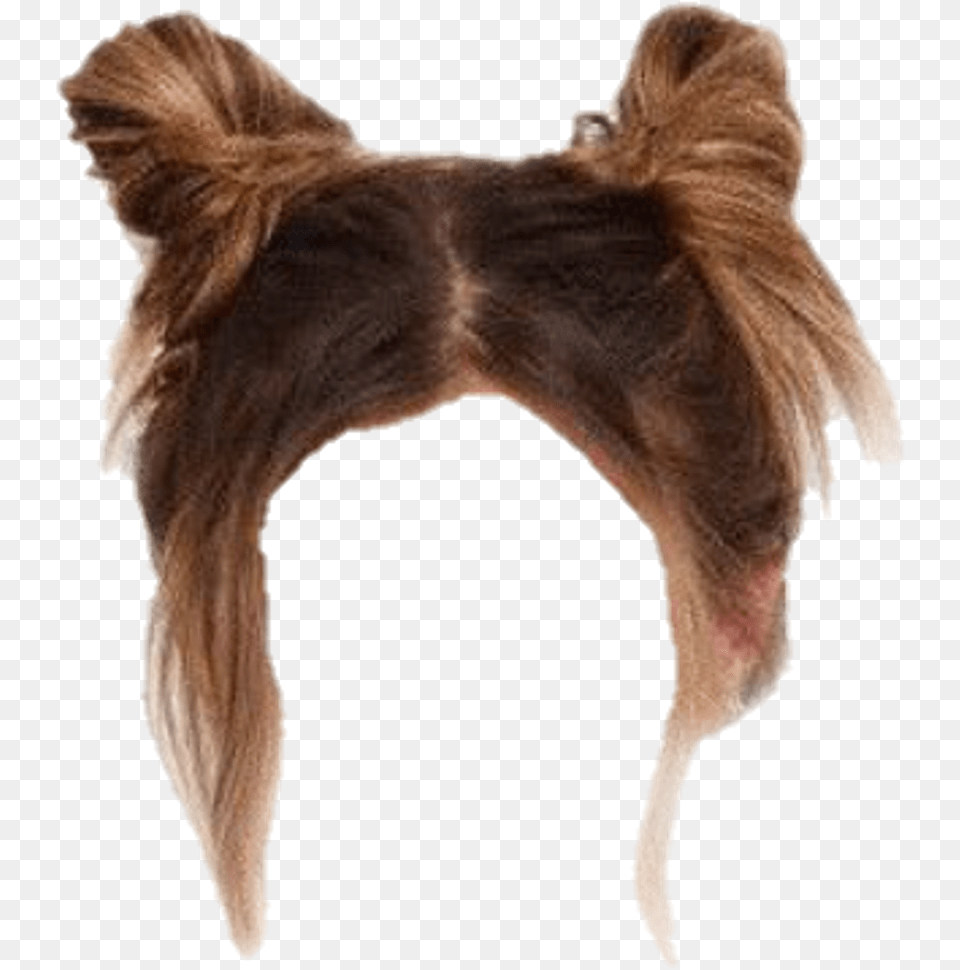 Messy Bun Hair, Home Decor, Animal, Cat, Mammal Free Png
