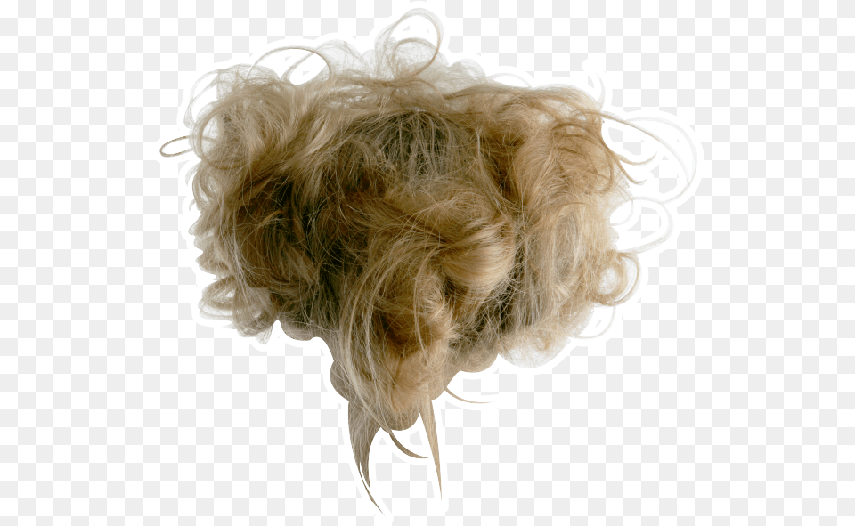 Messy Hair Messy Hair Blonde, Animal, Canine, Dog, Mammal Png Image