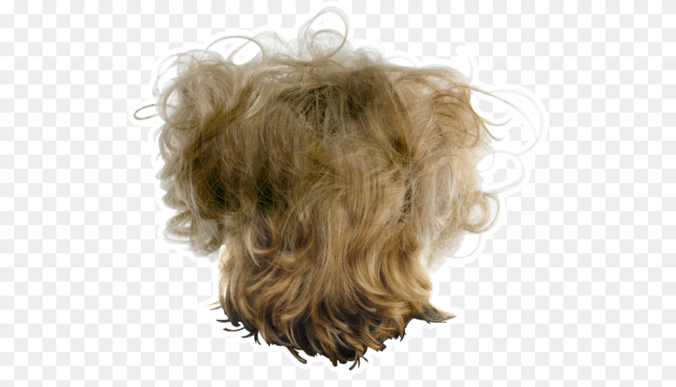 Messy Hair Transparent Background, Blonde, Person, Adult, Female Png Image