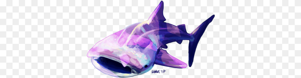 Messy Shark Dolphin, Animal, Sea Life, Fish, Purple Png Image