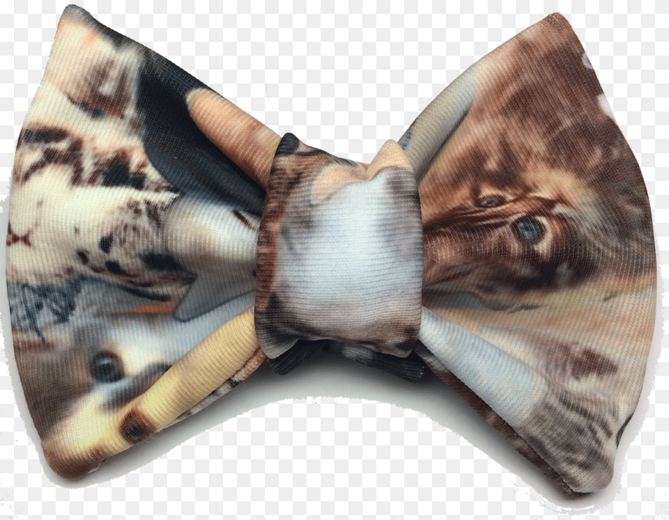 Meta Cat Butterfly, Accessories, Bow Tie, Formal Wear, Tie Free Png