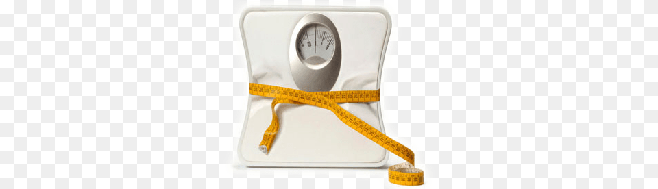 Metabolism And The Truth Behind Losing Weight Wie Abnehmen By Georg Meyer Wahl, Chart, Plot, Scale, Measurements Png Image