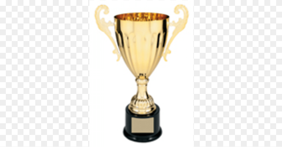 Metal Cup Trophy Trophy Cup Png Image