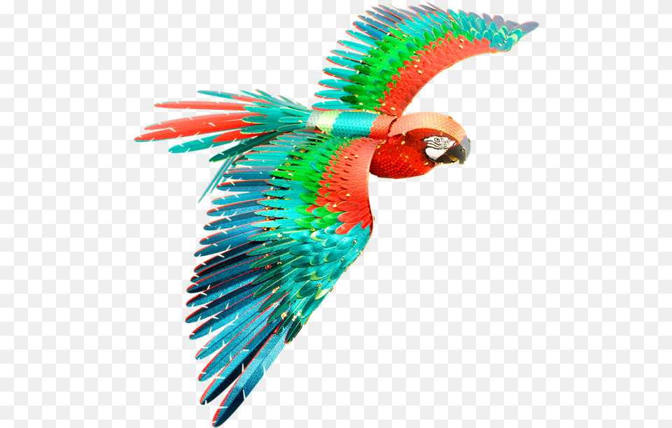 Metal Earth Macaw, Animal, Bird, Parrot Free Transparent Png