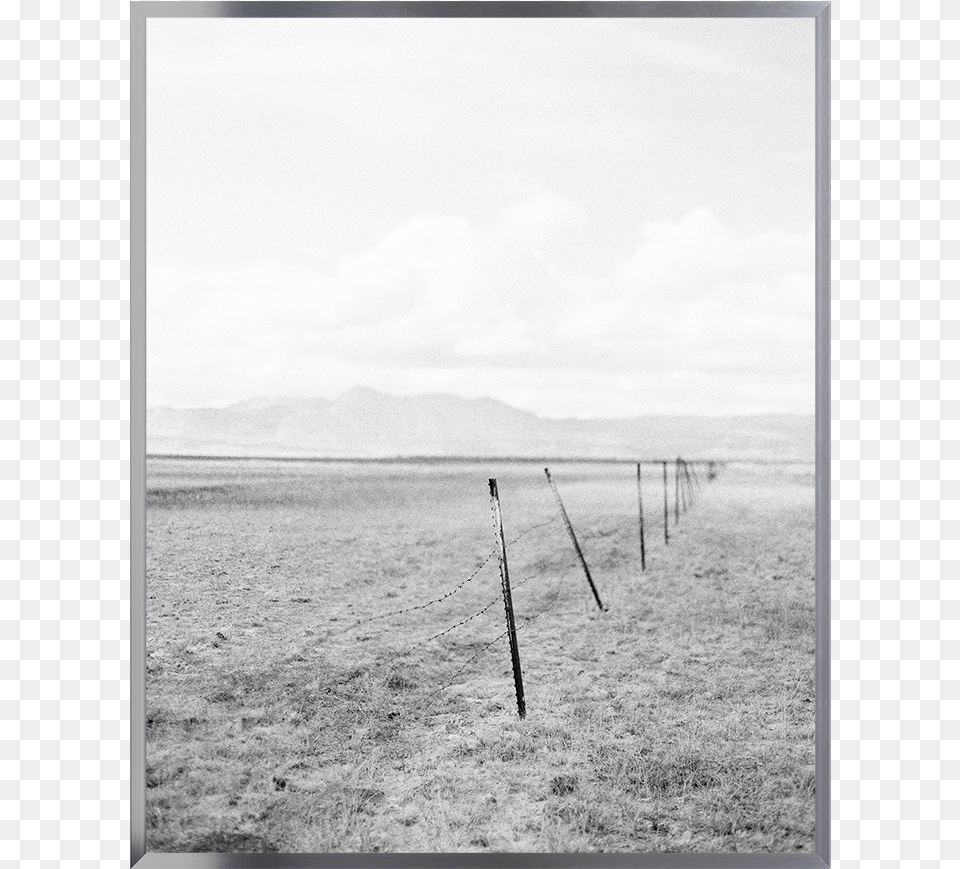 Metal Gallery Bright Silver Monochrome, Nature, Outdoors, Field, Grass Png Image