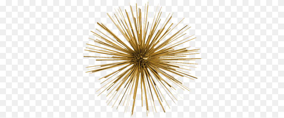 Metal Sea Urchin Ornamental Sculpture Wall Decor Gold 85 Horizontal, Fireworks, Chandelier, Lamp, Accessories Png Image