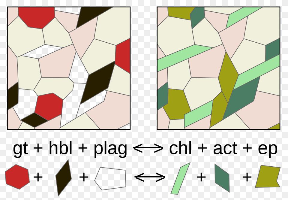 Metamorphism, Art, Collage Free Png