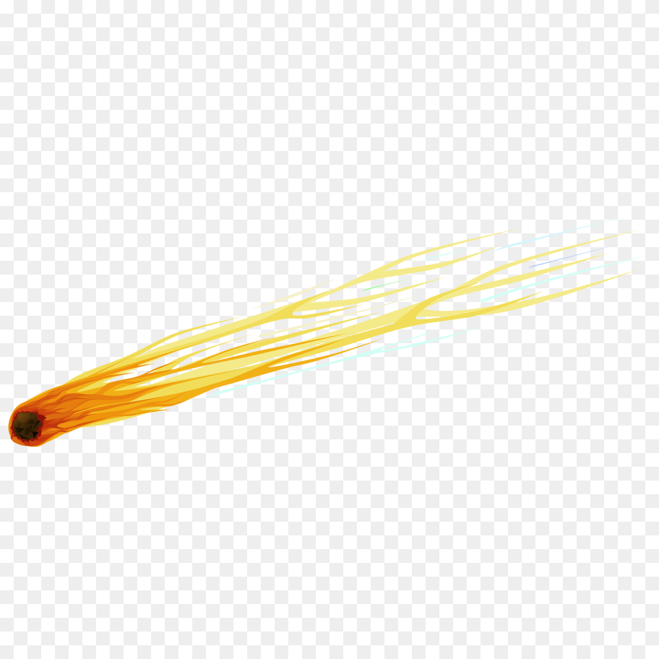 Meteor, Outdoors, Animal, Sea Life, Nature Free Transparent Png