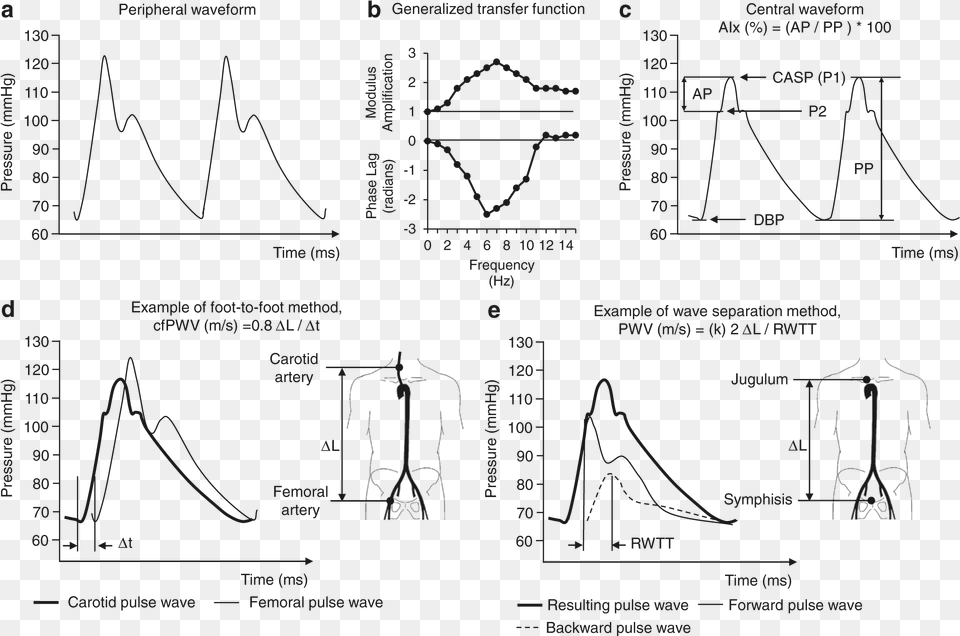 Method Of Pulse Wave Analisys, Chart, Plot, Measurements, Adult Free Transparent Png