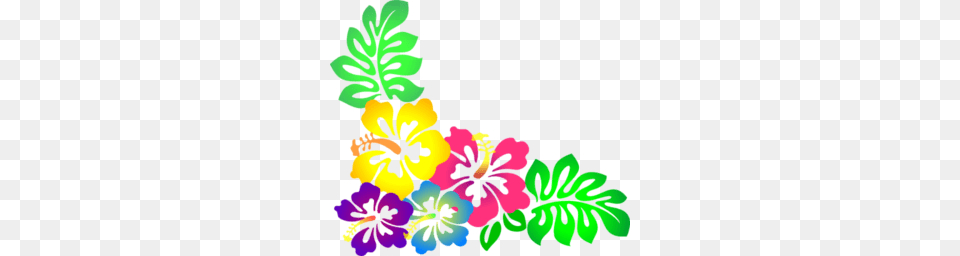 Methodist Women Ministry Salem United Methodist Church, Flower, Plant, Hibiscus, Pattern Png