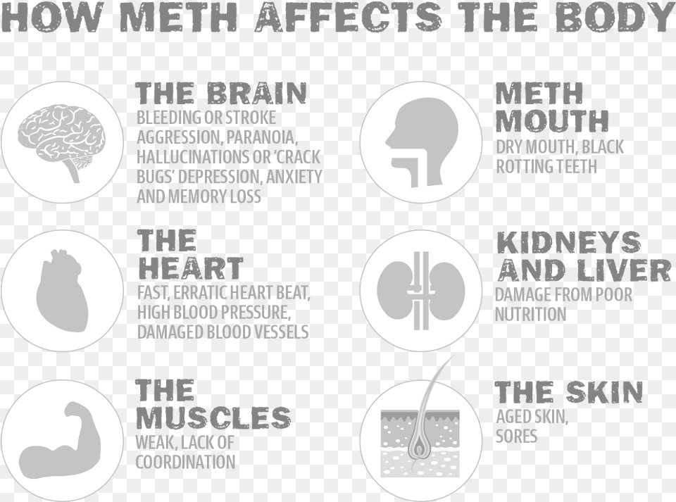 Methonbody Effects Of Ice On The Brain, Advertisement, Poster, Ct Scan, Text Free Png