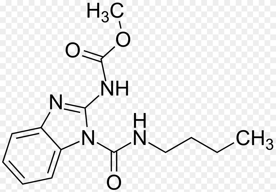 Methyl 1 Butylcarbamoyl 1h Benzodimidazol 2 Ylcarbamate 200 Clipart, Diagram Free Png Download