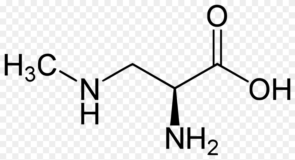 Methylamino L Alanine Clipart Png