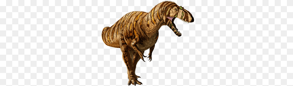 Metriacanthosaurus Metriacanthosaurus Jurassic World, Animal, Dinosaur, Reptile, T-rex Png