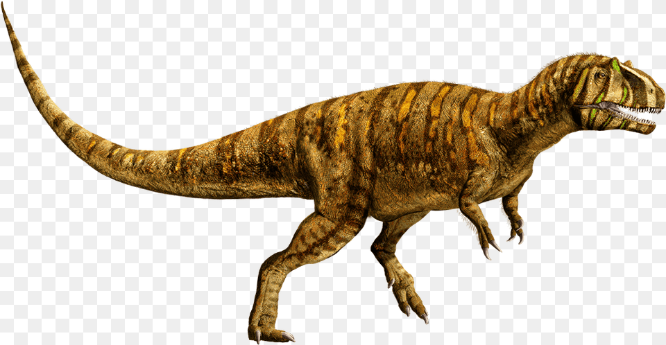 Metriacanthosaurus Metriacanthosaurus Jurassic World Evolution, Animal, Dinosaur, Reptile, T-rex Png Image