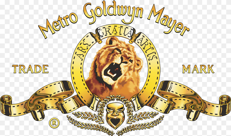Metro Goldwyn Mayer, Animal, Mammal, Lion, Wildlife Free Png