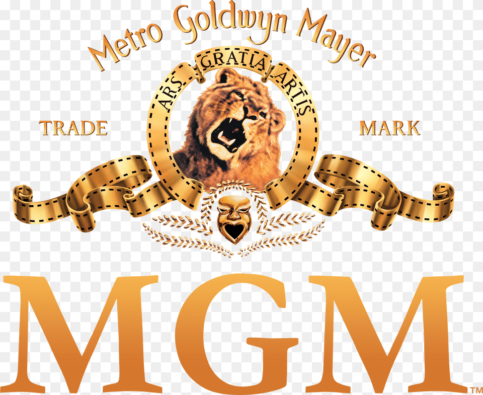 Metro Goldwyn Mayer Logo, Animal, Lion, Mammal, Wildlife Png