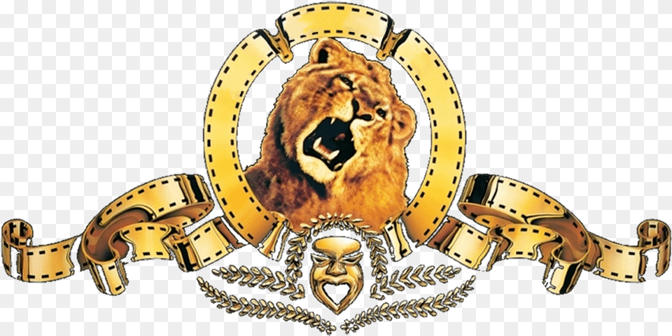 Metro Goldwyn Mayer Logo, Wildlife, Animal, Mammal, Lion Png Image