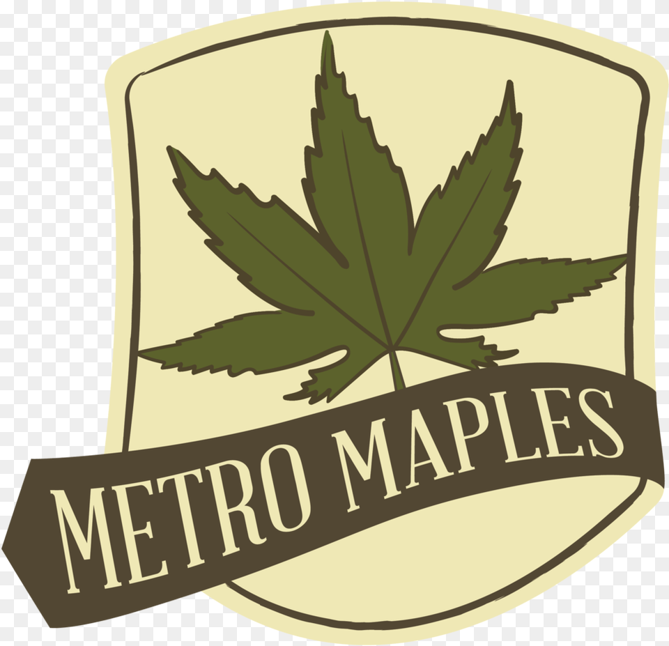 Metro Maples Maple, Leaf, Plant, Logo Free Transparent Png