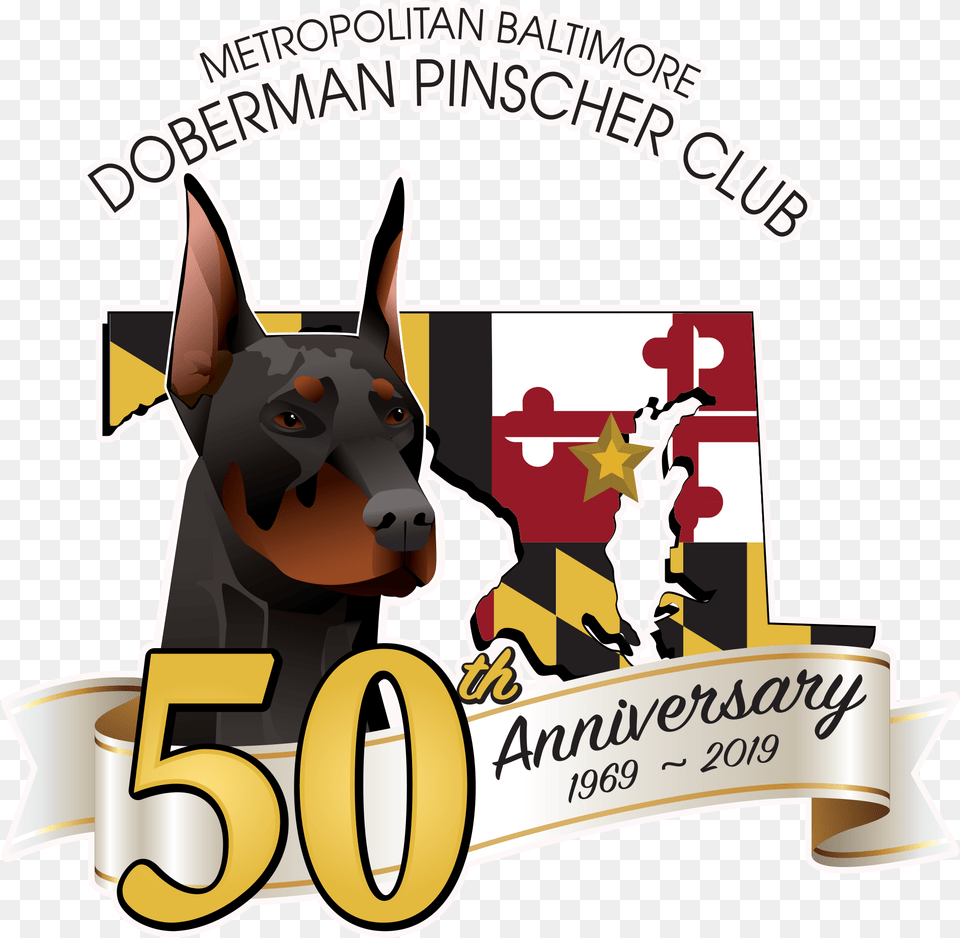 Metropolitan Baltimore Doberman Pinscher Club Design Samples, Animal, Canine, Mammal, Pet Free Png