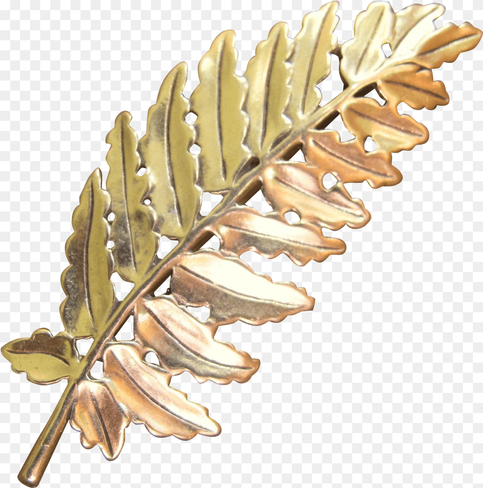 Metropolitan Museum Of Art Fern Leaf Brooch, Plant, Accessories, Jewelry Png Image