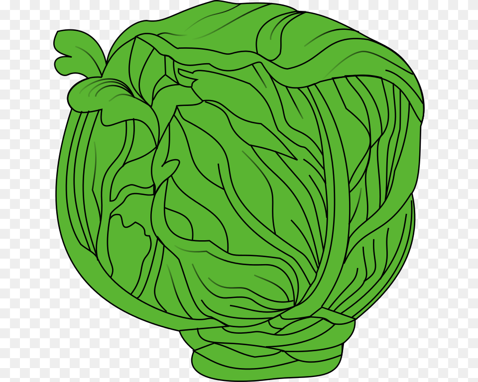 Meuble Choux Cabut, Food, Leafy Green Vegetable, Plant, Produce Free Transparent Png