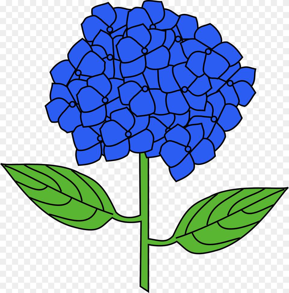 Meuble Hortensia, Leaf, Plant, Flower, Berry Png Image