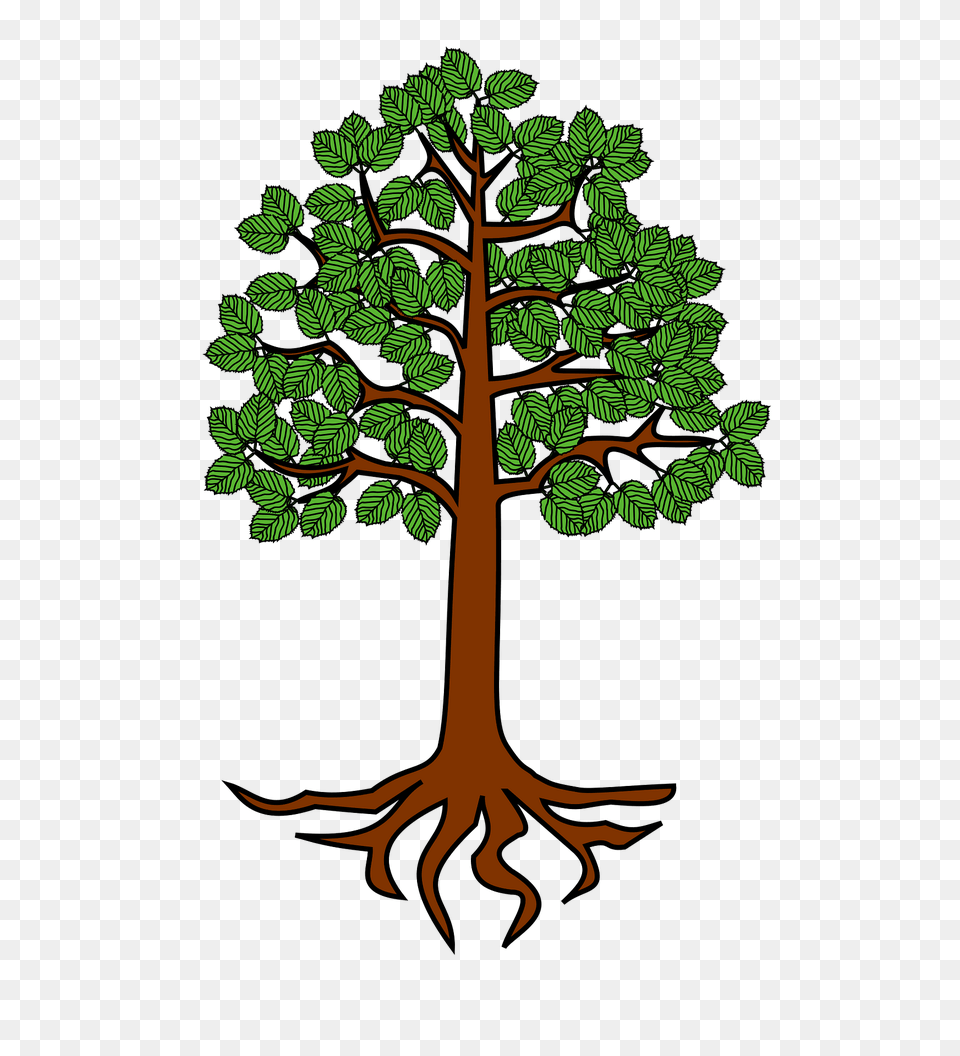 Meuble Hraldique Aulne Clipart, Plant, Tree, Vegetation, Potted Plant Free Png Download