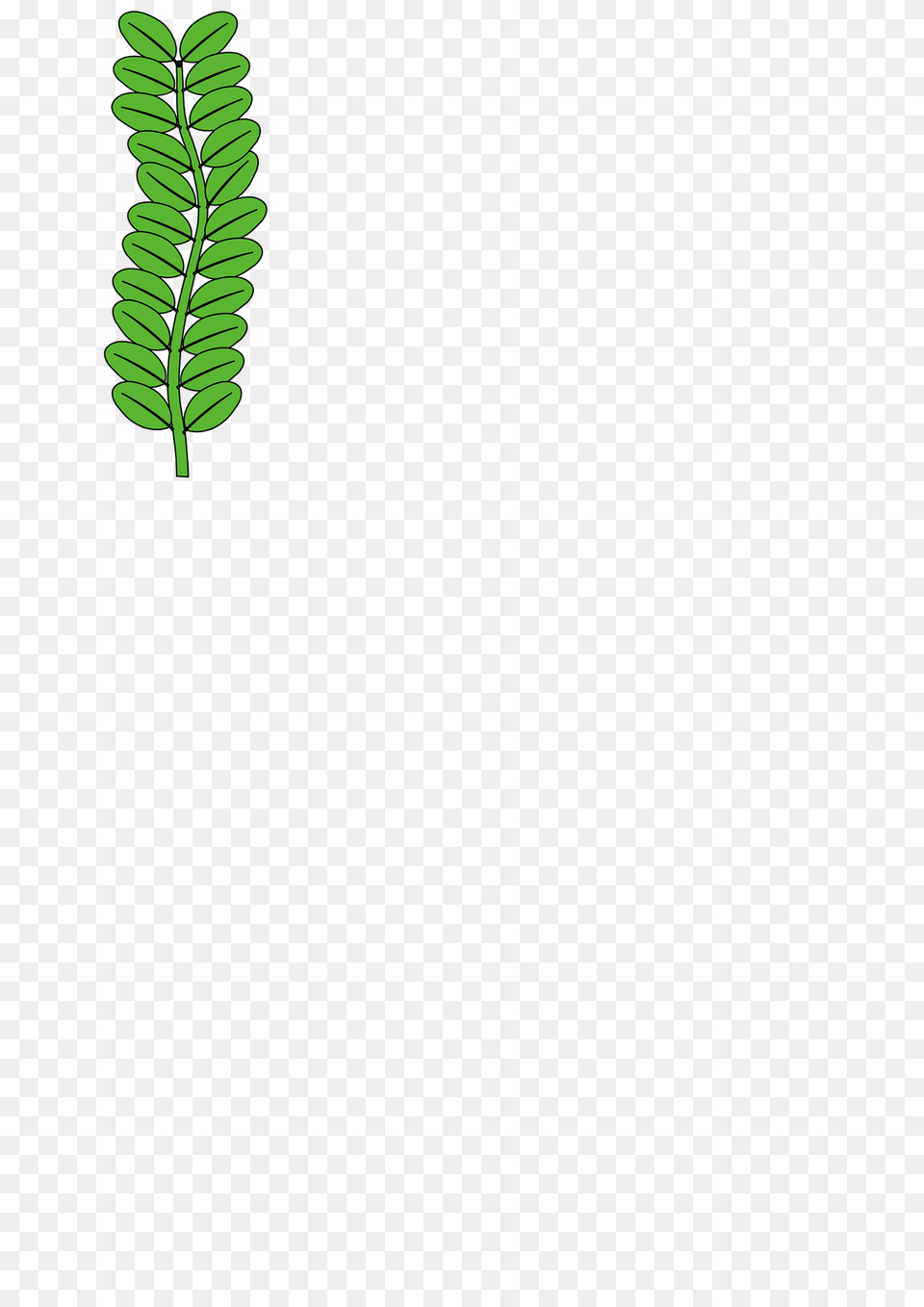 Meuble Hraldique Buis Clipart, Green, Leaf, Plant, Vegetation Free Png