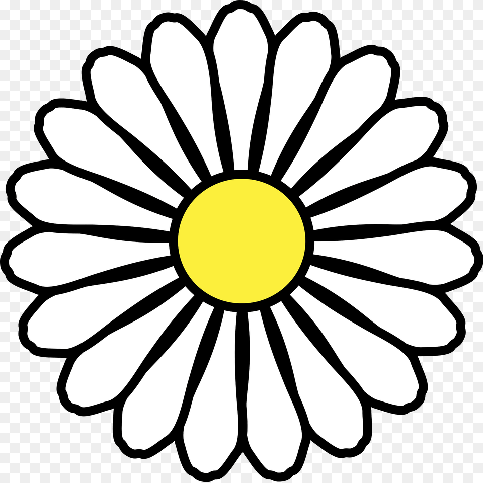 Meuble Hraldique Paquerette Clipart, Daisy, Flower, Plant, Anemone Png