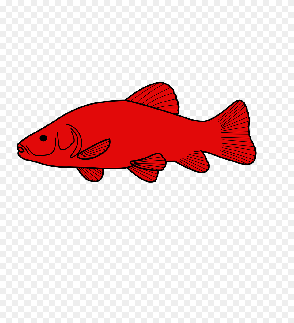 Meuble Hraldique Tanche Clipart, Animal, Fish, Sea Life Free Png