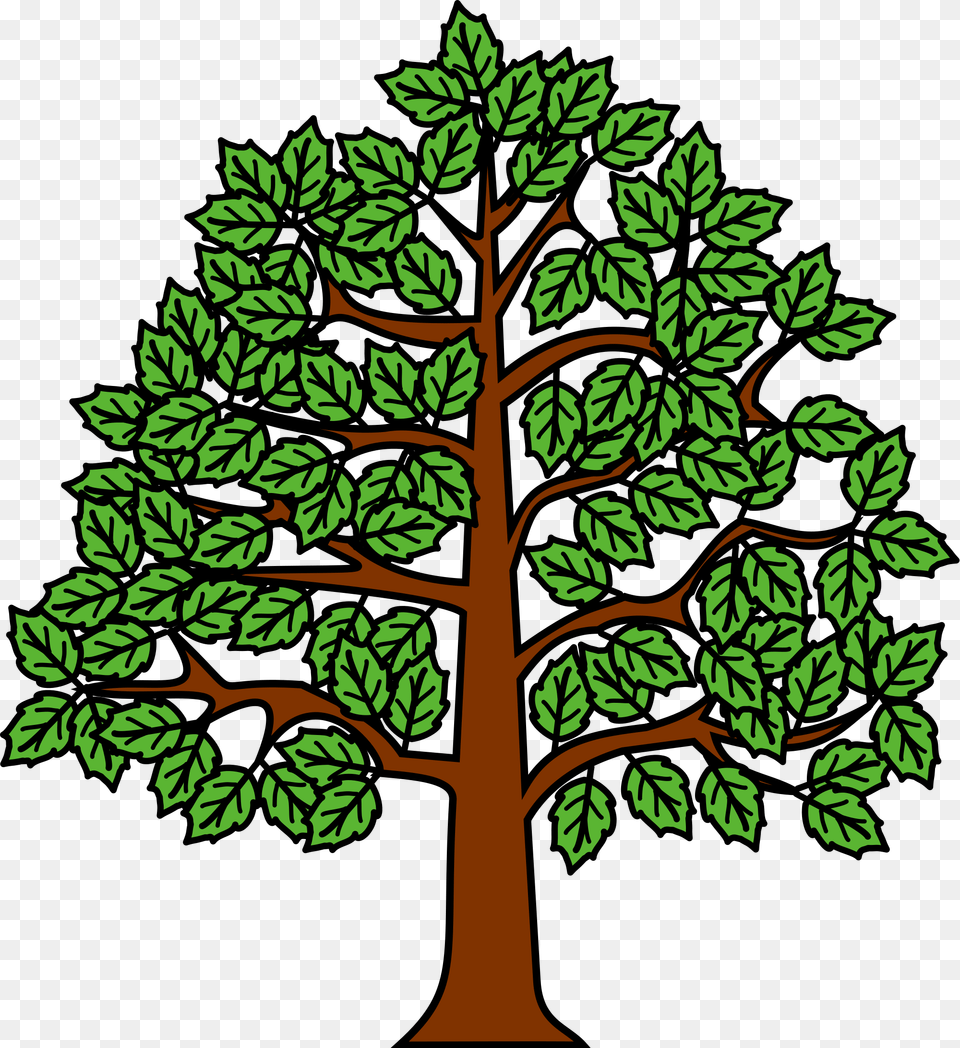 Meuble Htre Au Naturel Tree Heraldry Wiki Commons, Conifer, Plant, Vegetation, Woodland Free Png