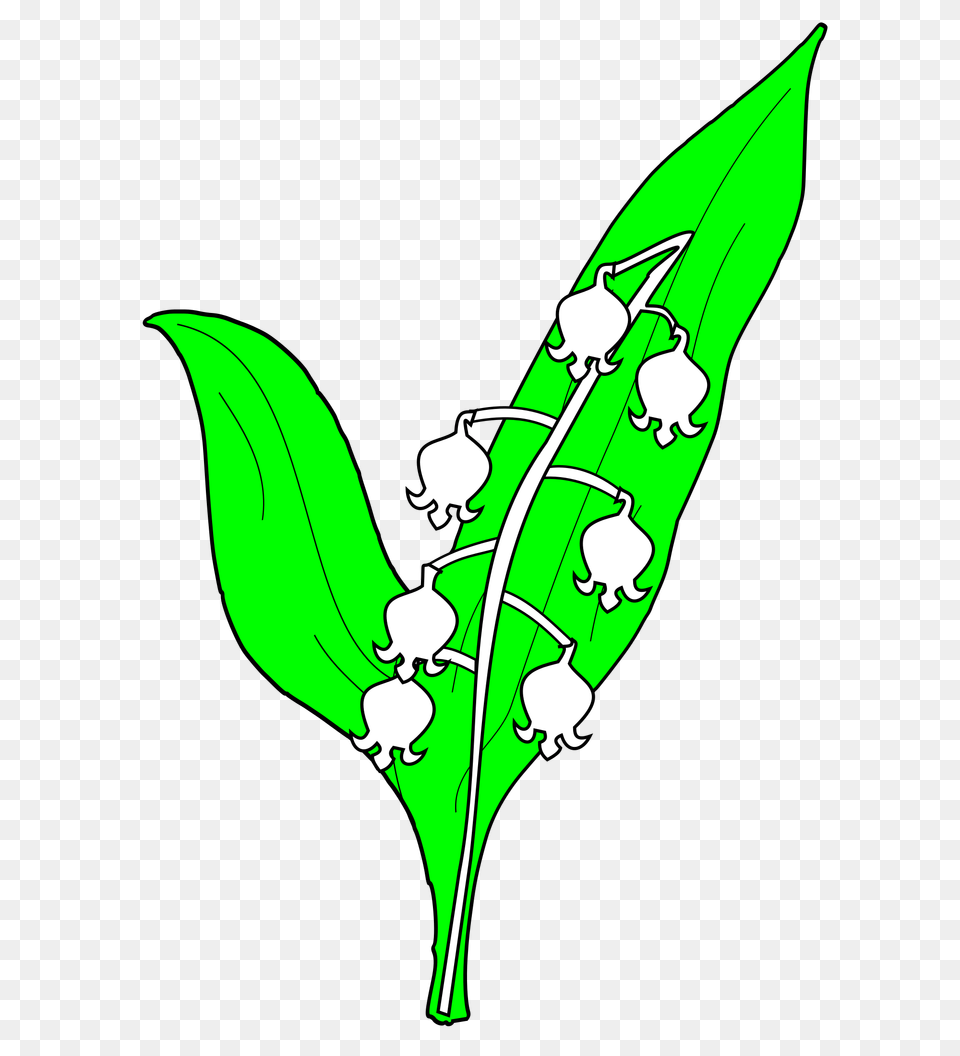 Meuble Muguet, Flower, Leaf, Plant, Green Free Png Download