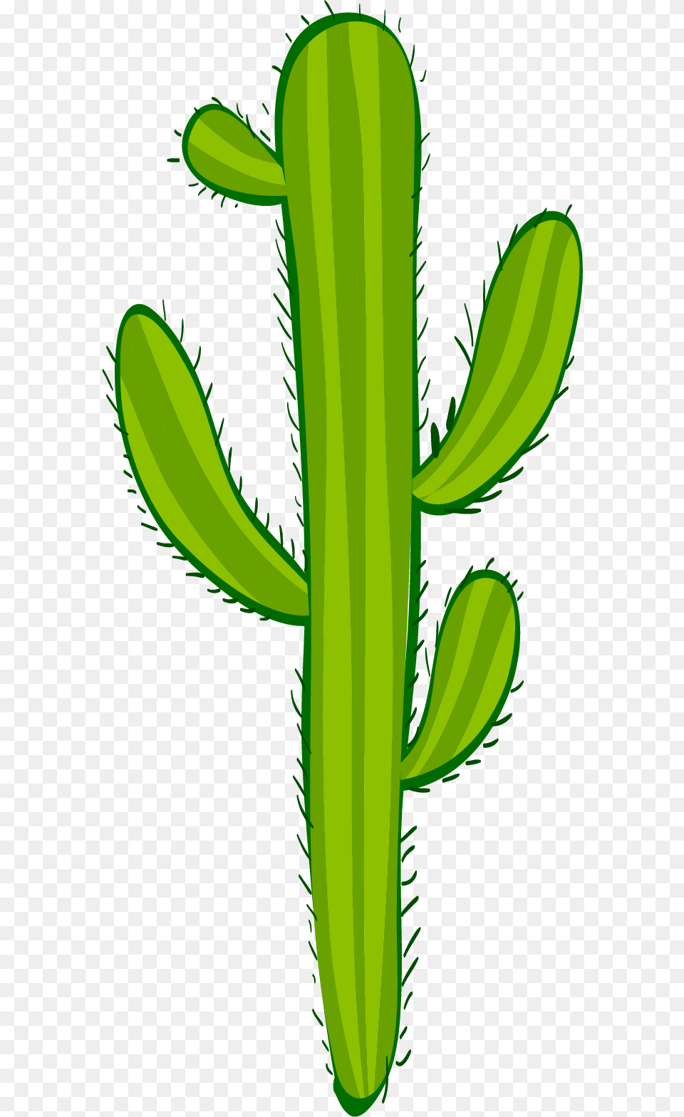 Mexican Cactus, Plant Free Png Download