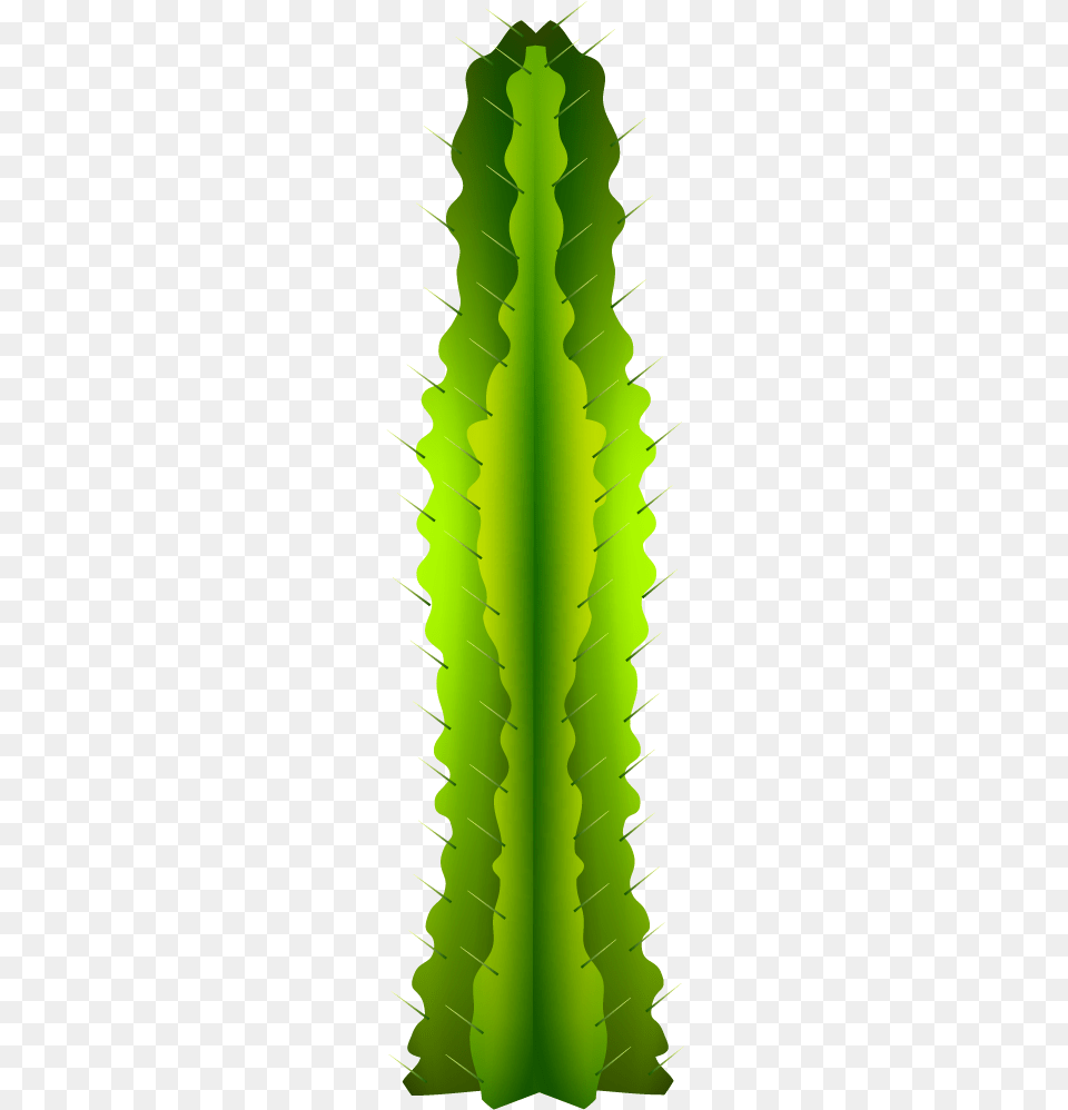 Mexican Cactus, Plant Png Image
