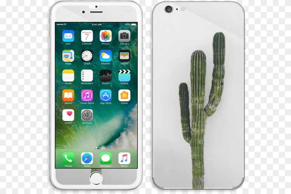 Mexican Cactus Skin Iphone 6 Plus, Electronics, Mobile Phone, Phone, Plant Free Transparent Png