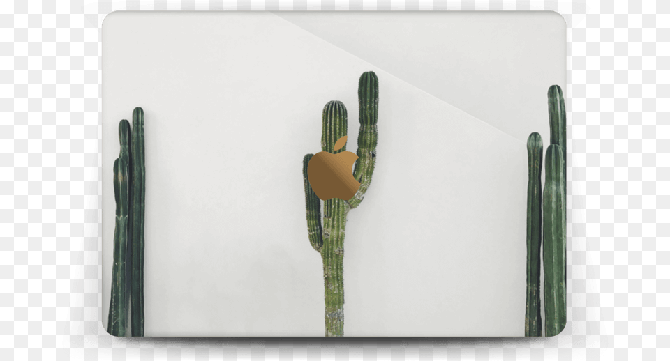Mexican Cactus Skin Macbook 12 Apple Macbook Pro, Plant Png Image