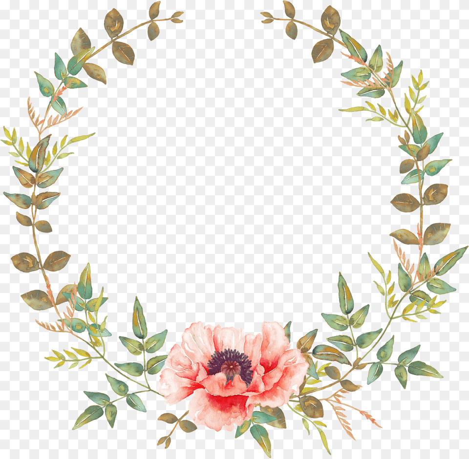 Mexican Clipart Flower Crown Floral Wreath Png Image
