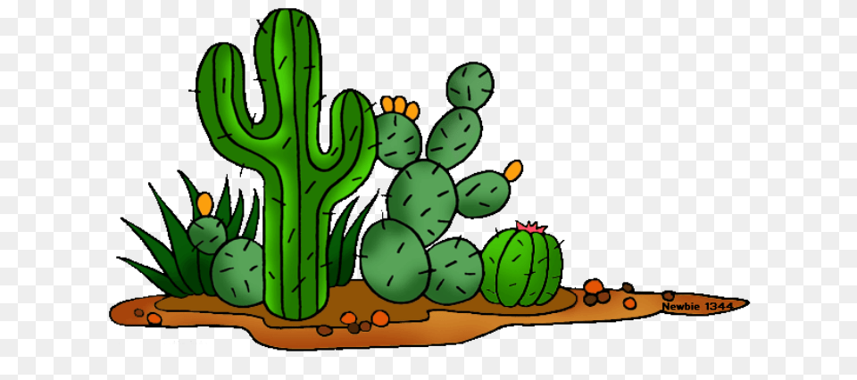 Mexican Clipart Flowers, Cactus, Plant, Ball, Sport Png Image
