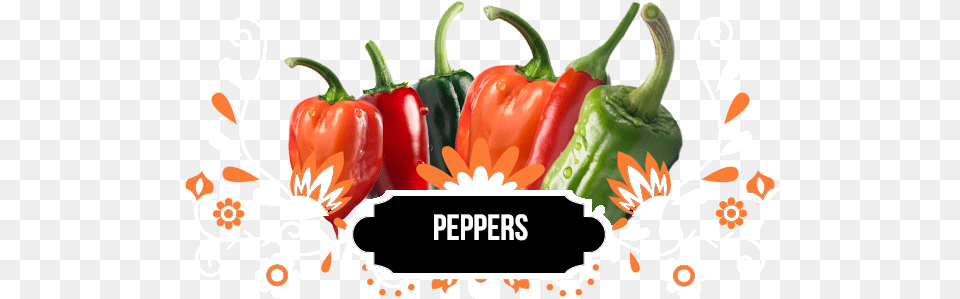 Mexican Cuisine, Food, Produce, Bell Pepper, Pepper Png Image