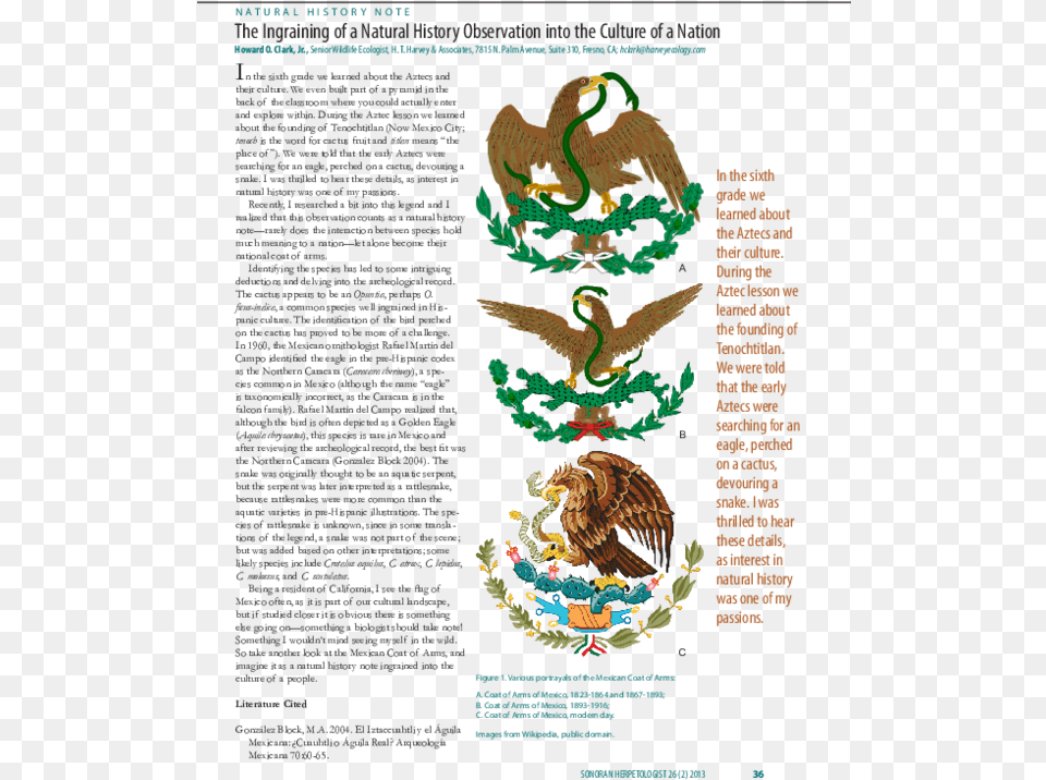 Mexican Eagle, Advertisement, Poster, Animal, Bird Png