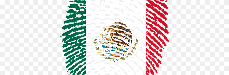 Mexican Flag Temporary Foreign Workers Archives Mexico, Pattern, Art Png