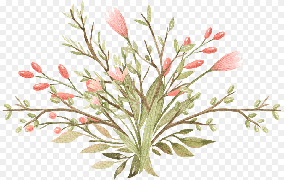 Mexican Flowers Grevillea, Plant, Pattern, Graphics, Flower Free Png Download