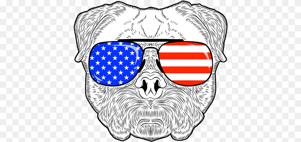 Mexico And Usa Map Flag, Accessories, Sunglasses, Animal, Mammal Free Png Download