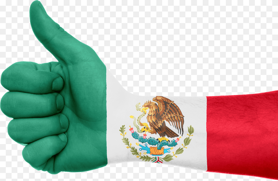 Mexico Flag, Clothing, Glove, Body Part, Hand Png