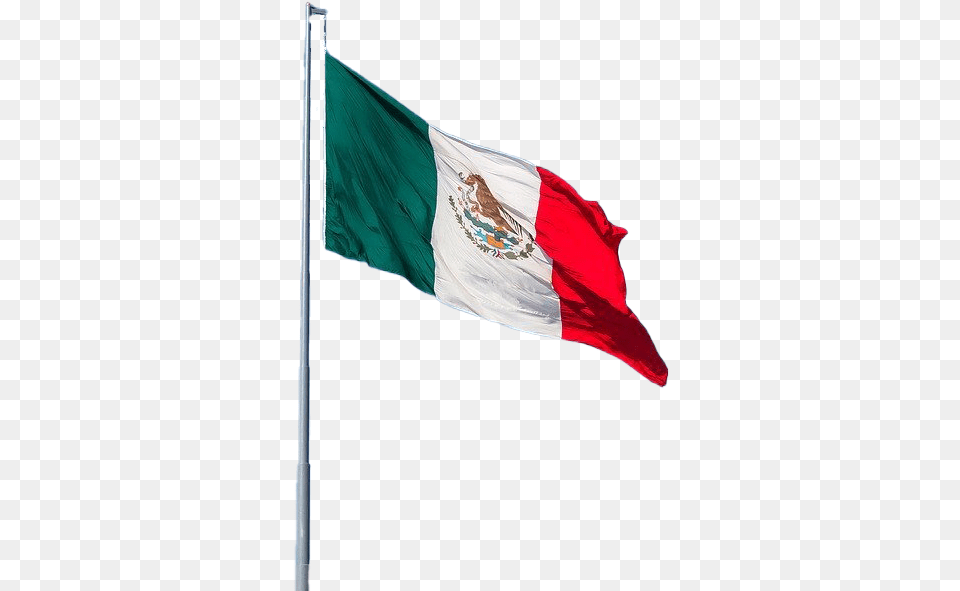 Mexico Flag Photo Image Real Pole Mexican Flag, Mexico Flag Free Png Download